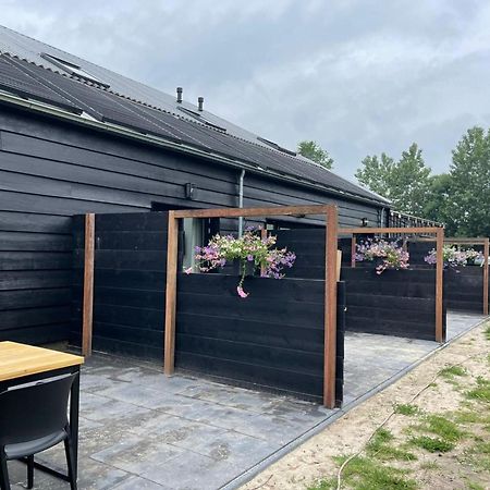 Cozy Holiday Home In Vrouwenpolder Close To The Beach מראה חיצוני תמונה
